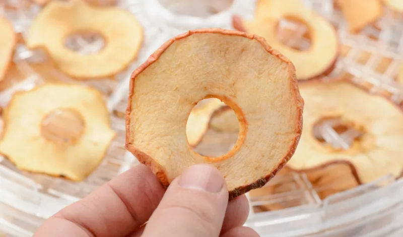 déshydrateur alimentaire