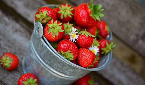 Ramenez votre fraise !