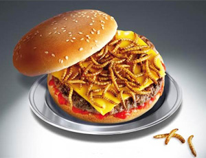 Pour Halloween, Speed Burger a tenté le hamburger... aux vers !